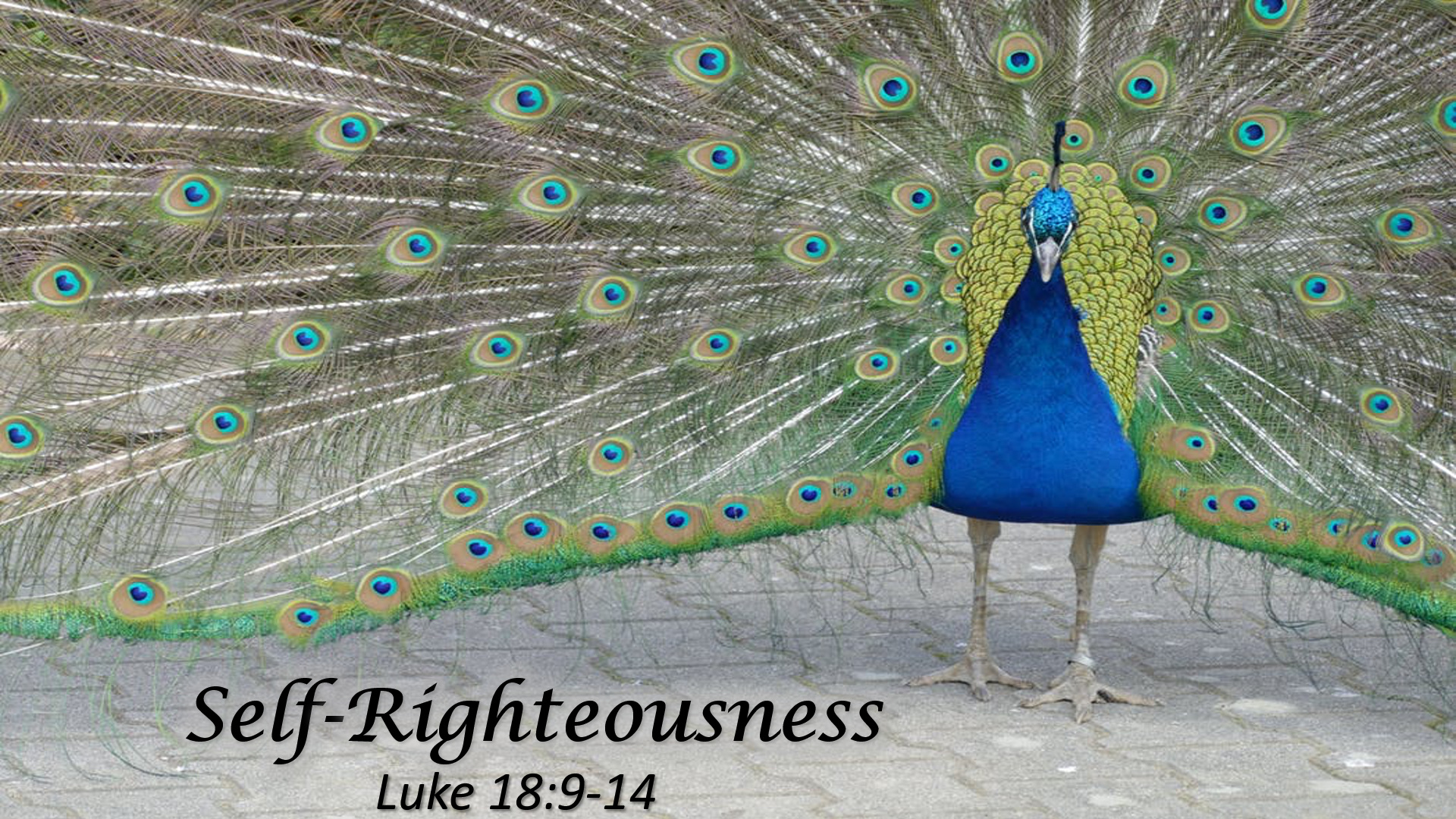 Self-Righteousness