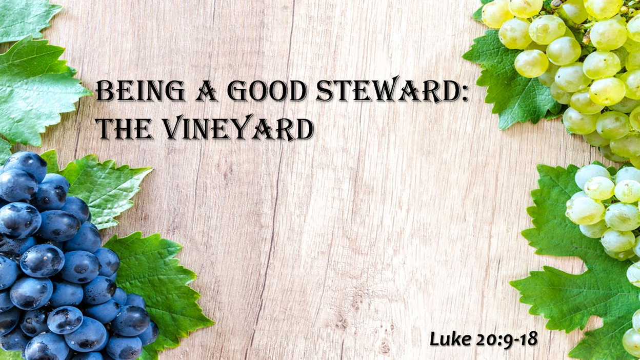 scripture about being a good steward