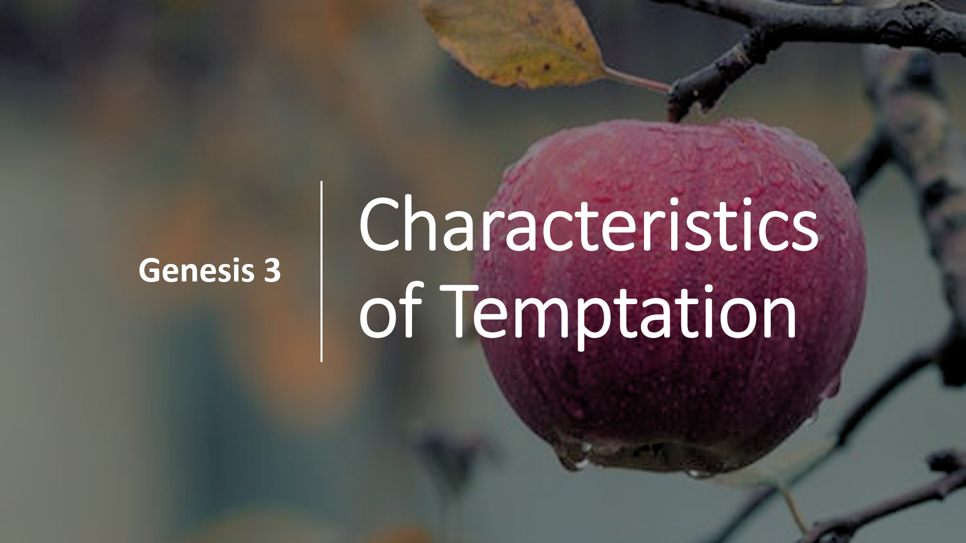 Characteristics of Temptation