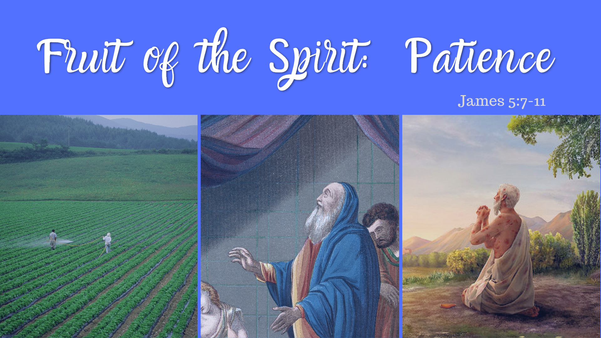 Patience: Fruit of the Spirit